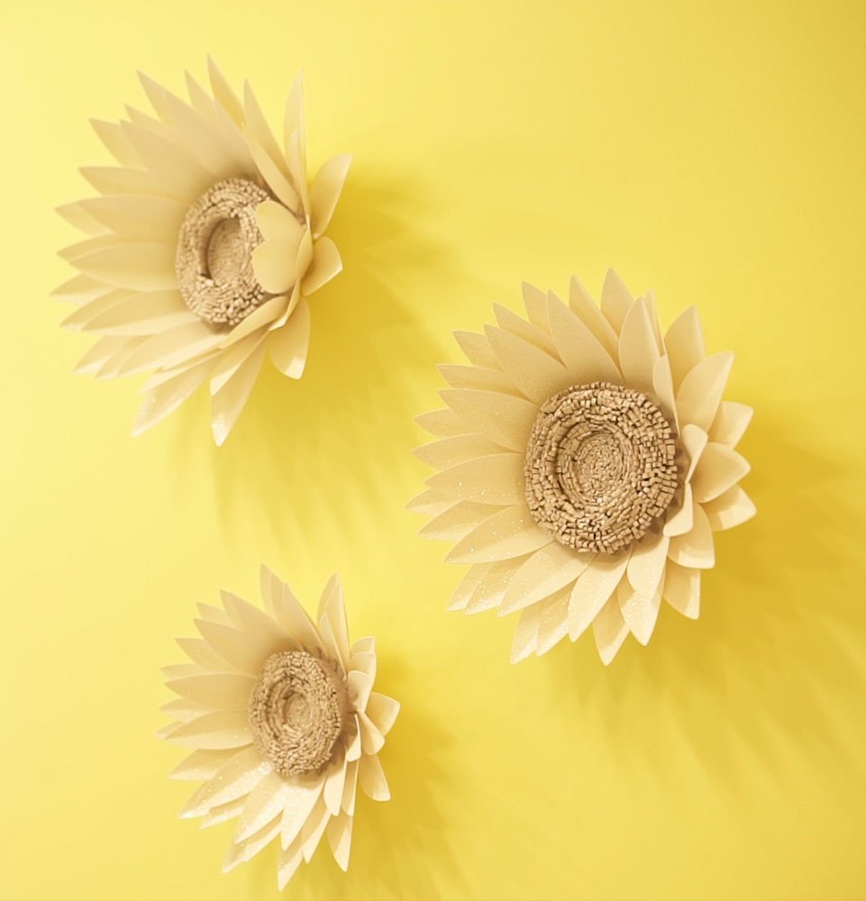 wall decor within the dental center