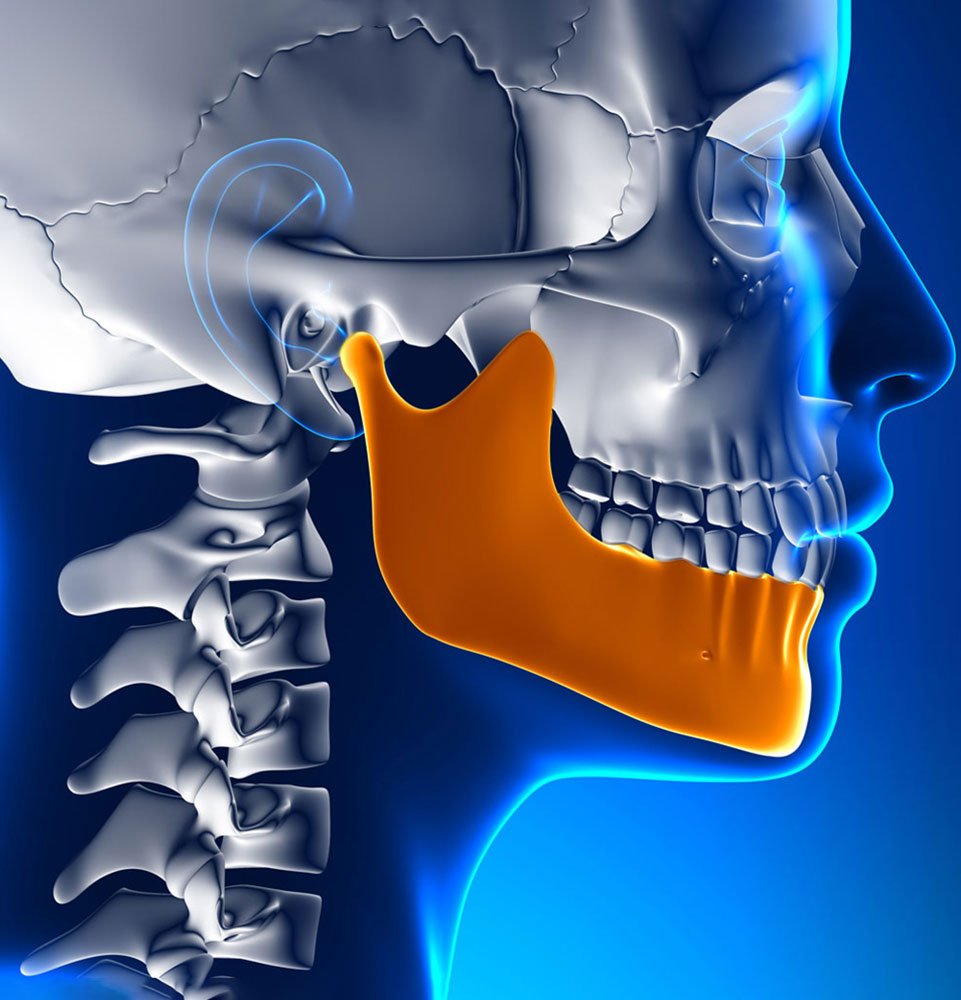 tmj 3d model